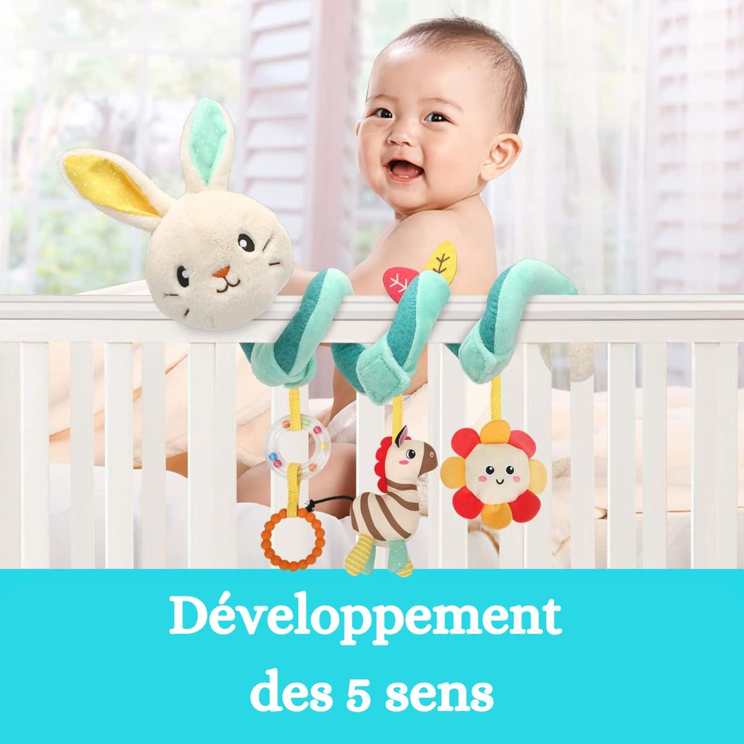 HOCHET-BEBE-DEVELOPPEMENT-SPIRALE