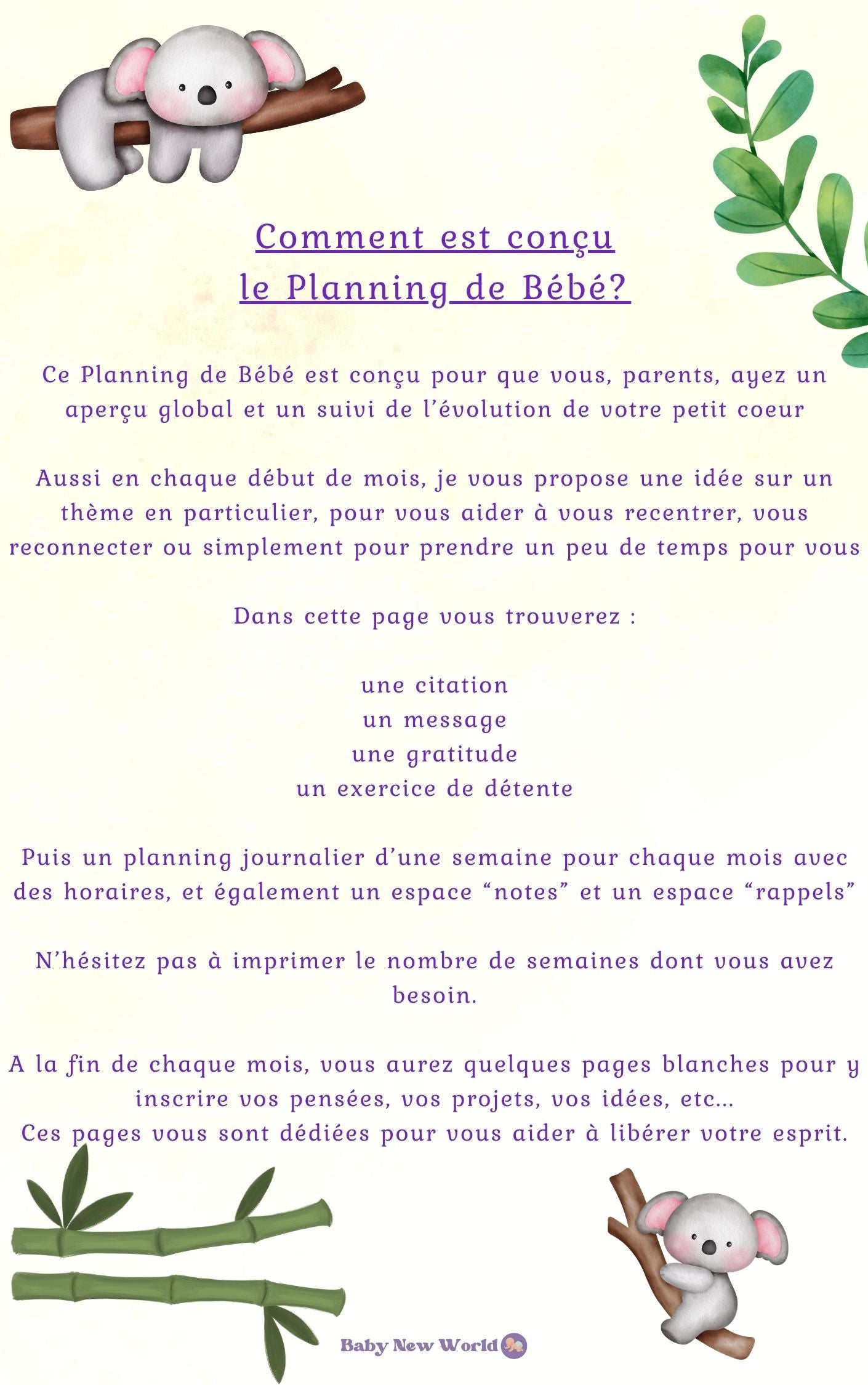 EBOOK - PLANNING SEMAINE A IMPRIMER -  Le Planning de Bébé™